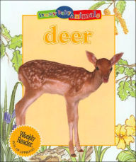 Deer (Busy Baby Animals Series)