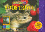 How & Why?: Seeds Travel (Springboards into Science Series)