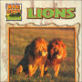Lions (Big Cats Series)