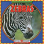 Zebras