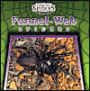 Funnel Web Spiders