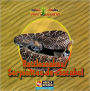 Rattlesnakes/Serpientes de Cascabel
