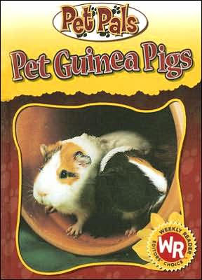 Pet Guinea Pigs