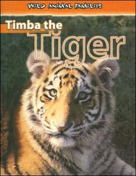 Timba the Tiger