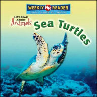 Sea Turtles
