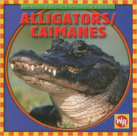 Alligators (Caimanes)