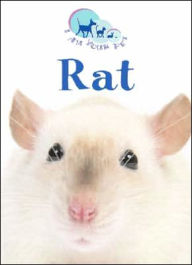 Rat