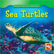 Sea Turtles