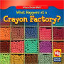 What Happens at a Crayon Factory?