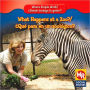 What Happens at a Zoo?/Que Pasa En Un Zoologico?