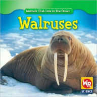 Walruses