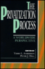 The Privatization Process: A Worldwide Perspective / Edition 1