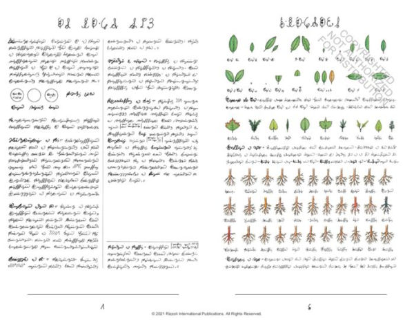 Codex Seraphinianus: 40th Anniversary Edition