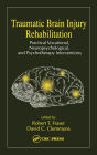 Traumatic Brain Injury Rehabilitation: Practical Vocational, Neuropsychological, and Psychotherapy Interventions / Edition 1