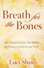 Breath for the Bones: Art, Imagination, and Spirit: Reflections on Creativity and Faith