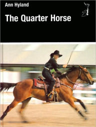 Quarter Horse