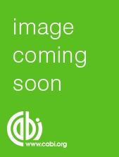 Title: Aphids on the World's Trees: An Identification and Information Guide, Author: CABI