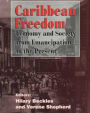 Caribbean Freedom: Economy and Society from Emancipation to the Present