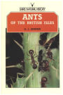 Ants Of The British Isles