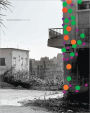 Walid Raad