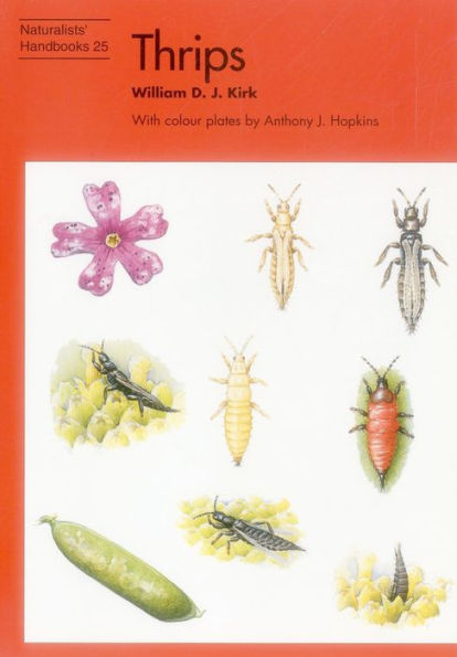 Thrips