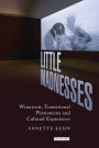 Little Madnesses: Winnicott, Transitional Phenomena and Cultural Experience