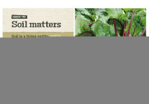 Alternative view 2 of Living on One Acre or Less: How to produce all the fruit, veg, meat, fish and eggs your family needs