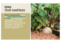 Alternative view 6 of Living on One Acre or Less: How to produce all the fruit, veg, meat, fish and eggs your family needs