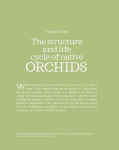 Alternative view 11 of How to Grow Native Orchids in Gardens Large and Small: the comprehensive guide to cultivating local species