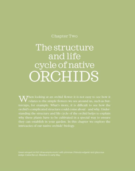 How to Grow Native Orchids in Gardens Large and Small: the comprehensive guide to cultivating local species