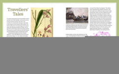 Alternative view 2 of How to Grow Native Orchids in Gardens Large and Small: the comprehensive guide to cultivating local species