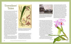 Alternative view 5 of How to Grow Native Orchids in Gardens Large and Small: the comprehensive guide to cultivating local species