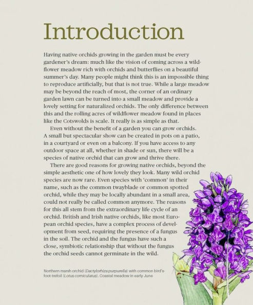 How to Grow Native Orchids in Gardens Large and Small: the comprehensive guide to cultivating local species