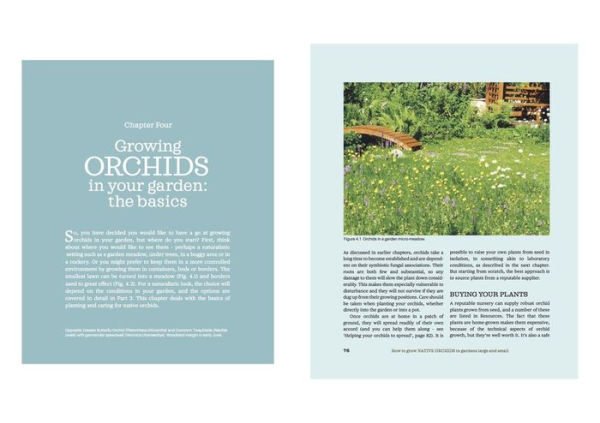 How to Grow Native Orchids in Gardens Large and Small: the comprehensive guide to cultivating local species