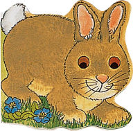 Title: Pocket Bunny, Author: Pam Adams
