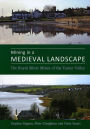 Mining in a Medieval Landscape: The Royal Silver Mines of the Tamar Valley / Edition 2