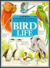 Bird Life