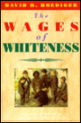The Wages of Whiteness: Race and the Making of the American Working Class / Edition 1