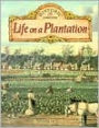 Life on a Plantation