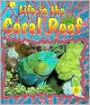 Life in the Coral Reef
