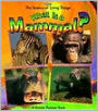 What Is a Mammal?