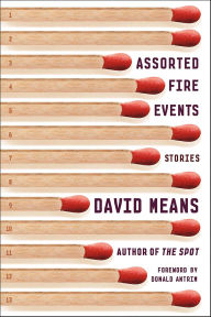 Title: Assorted Fire Events, Author: David Means