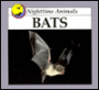 Bats: Nighttime Animals