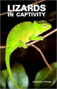 Lizards in Captivity