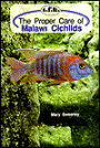 Proper Care of Malawi Cichlids