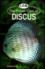Proper Care of Discus