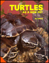 Turtles as a New Pet