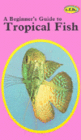 A Beginner's Guide to Tropical Fish
