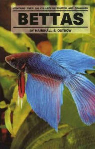 Bettas