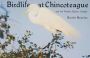 Birdlife at Chincoteague and the Virginia Barrier Islands / Edition 1
